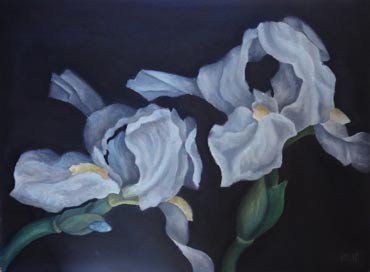 Joe Dolby